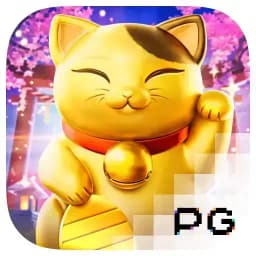 ddviolins: Lucky Neko