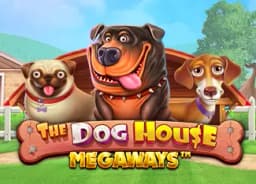ddviolins: The Dog House Megaways